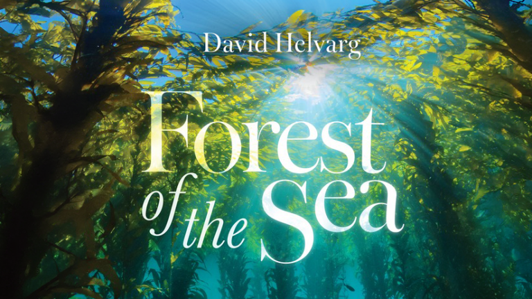 'Forest of the Sea' book cover